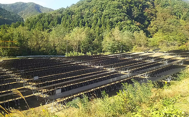 福島県郡山市案件